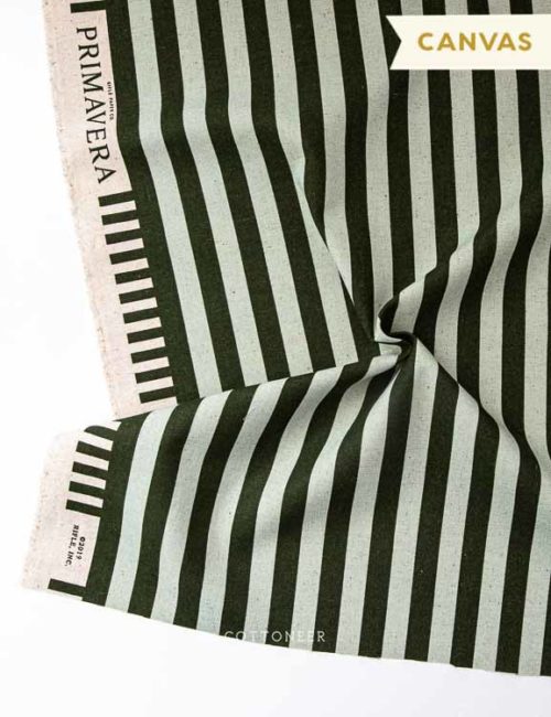 primavera-cabana-stripe-in-mint-canvas-by-rifle-paper-co-4