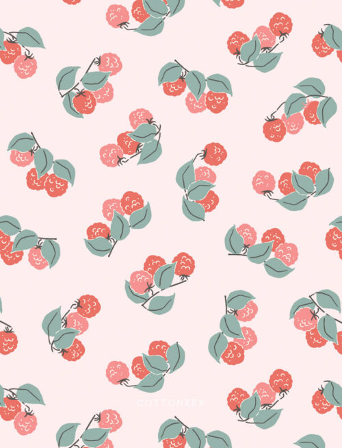 raspberry-patch-pink-cottage-garden-by-kimberly-morgan
