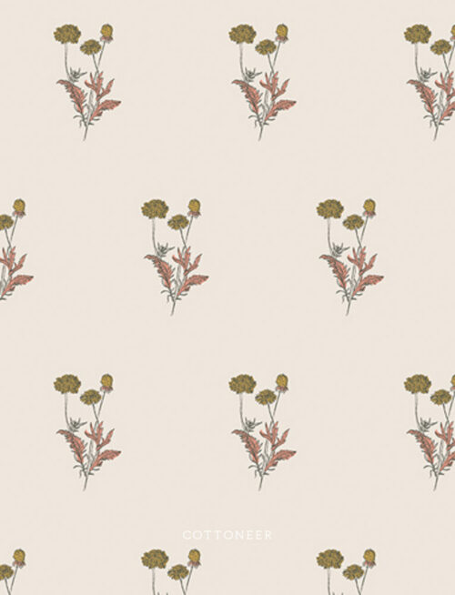 rising-calendula-spruce-by-sharon-holland