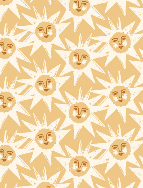 shine-on-pale-orange-kindred-comforts-by-tanya-celia-for-cloud9-fabrics-5