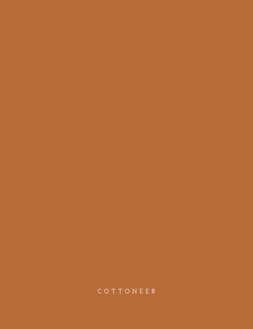 Art Gallery Fabrics : Pure Solids - Burnt Orange – Bolt & Spool