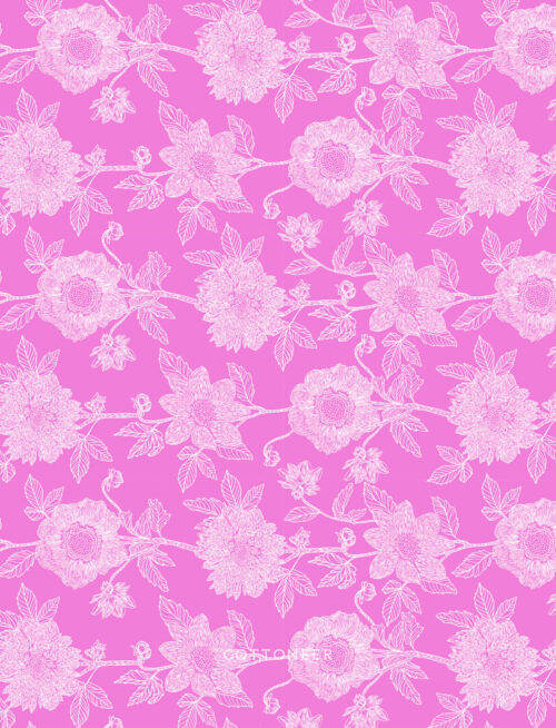 silhouette-by-anna-maria-1-2