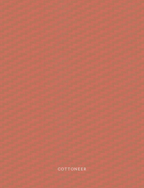 steps-coral-journey-anna-maria-2
