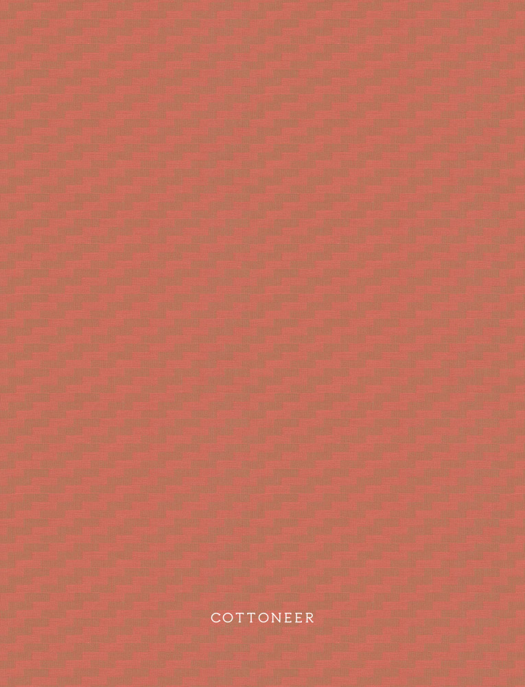 steps-coral-journey-anna-maria-2