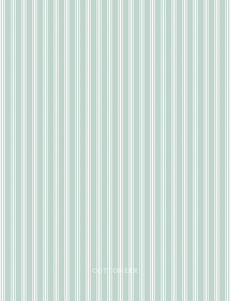 stripe-mint-nest-by-ghazal-razavi-1
