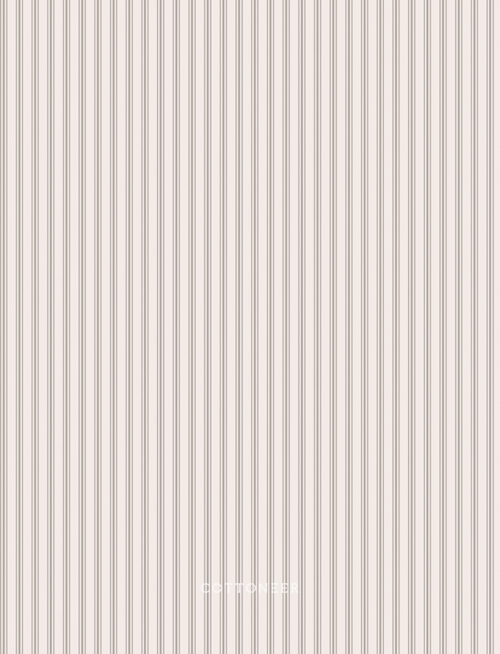 stripe-oyster-nest-by-ghazal-razavi