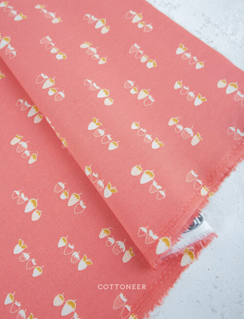 summer-homestead-sewcial-bee-collective-5