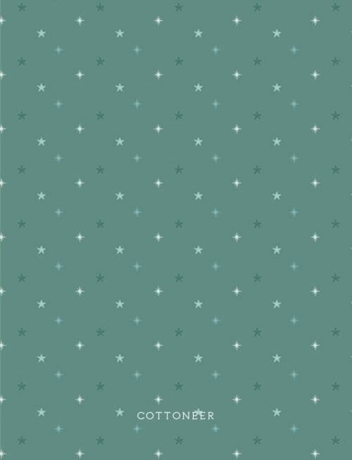 twinkling-skies-pine-christmas-in-the-cabin-by-agf-studio
