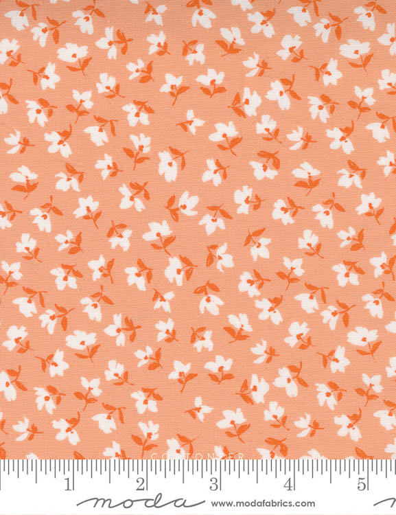 vivienne-floral-in-peach-paisley-rose-by-crystal-manning
