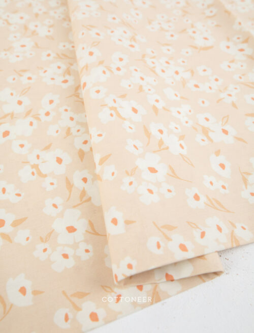 wide-back-agf-studio-4