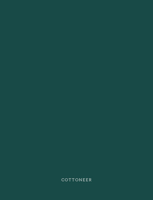 winter-spruce-flannel-solids-by-agf-studio