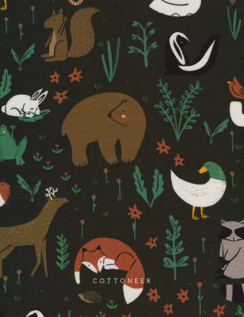 woodlands-wild-things-by-betsy-siber