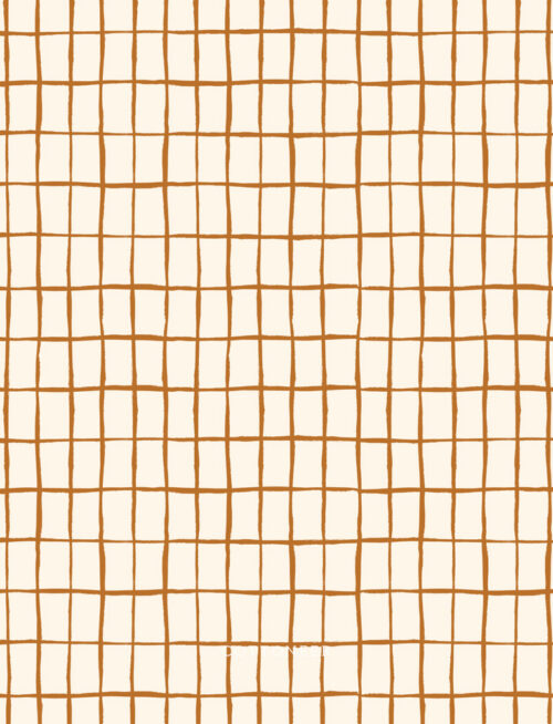 zellige-brown-kindred-comforts-by-tanya-celia-for-cloud9-fabrics-3