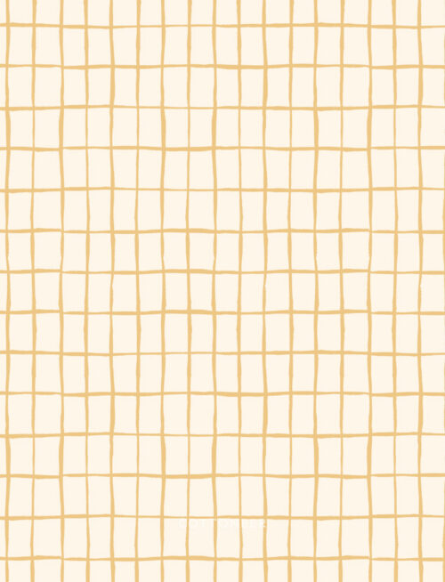 zellige-pale-orange-kindred-comforts-by-tanya-celia-for-cloud9-fabrics-2